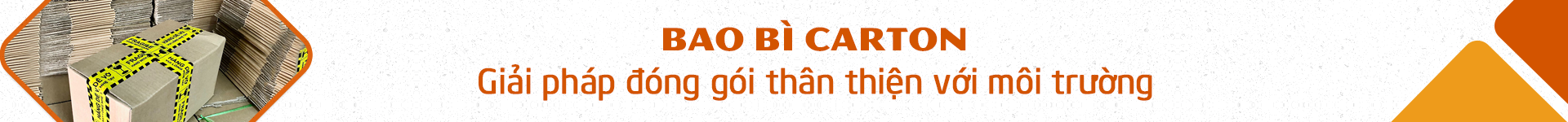 BAO BÌ CARTON